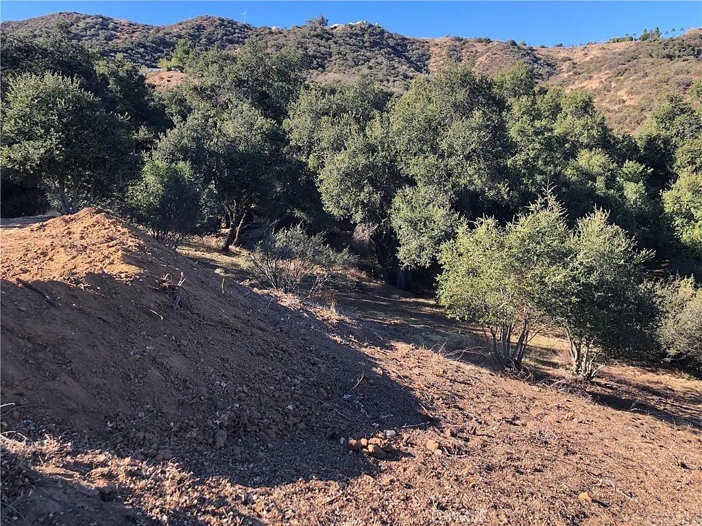 a view of a yard with mountain view