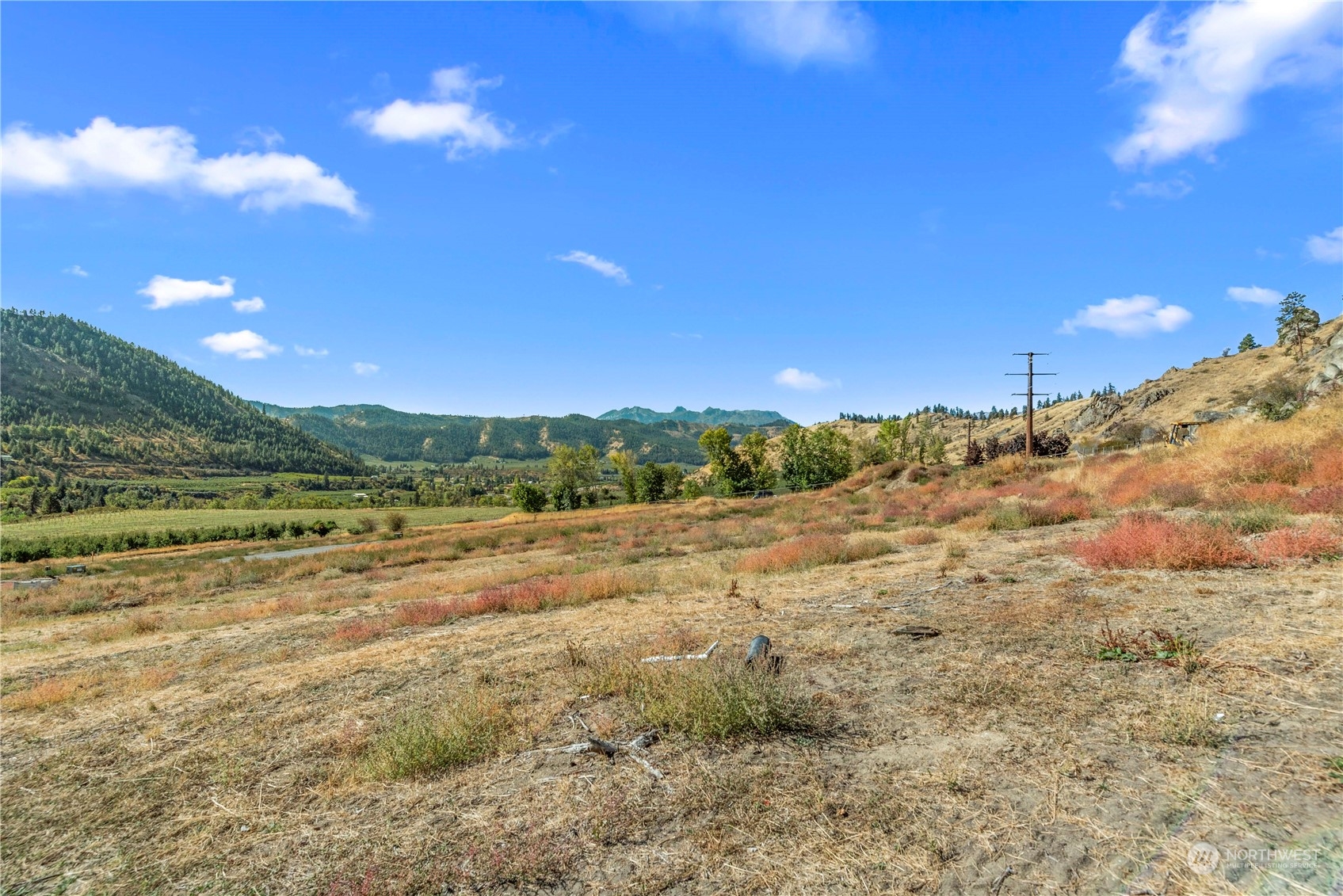 a view of a field with trees