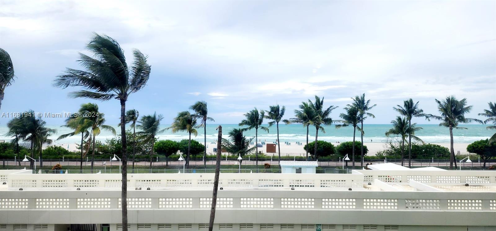 a view of a terrace with palm trees