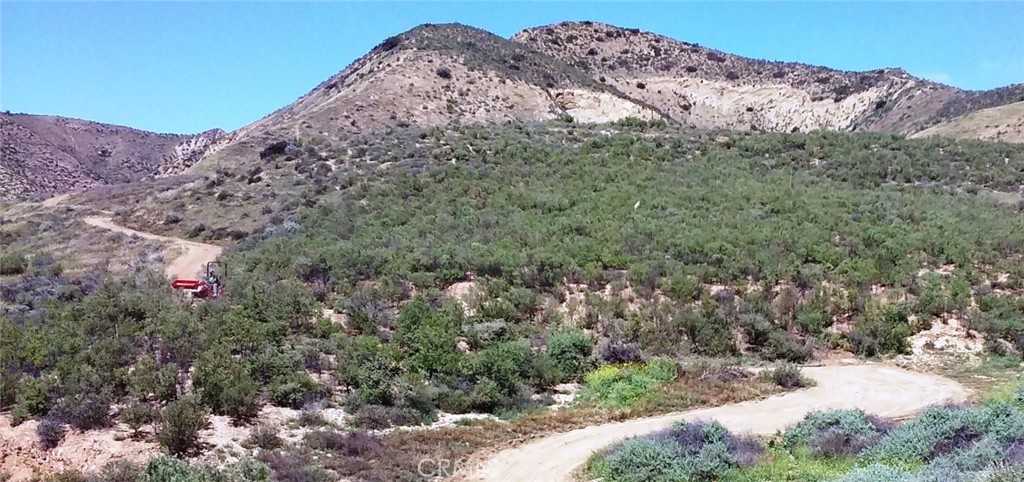 a view of a dry yard with mountains in the background