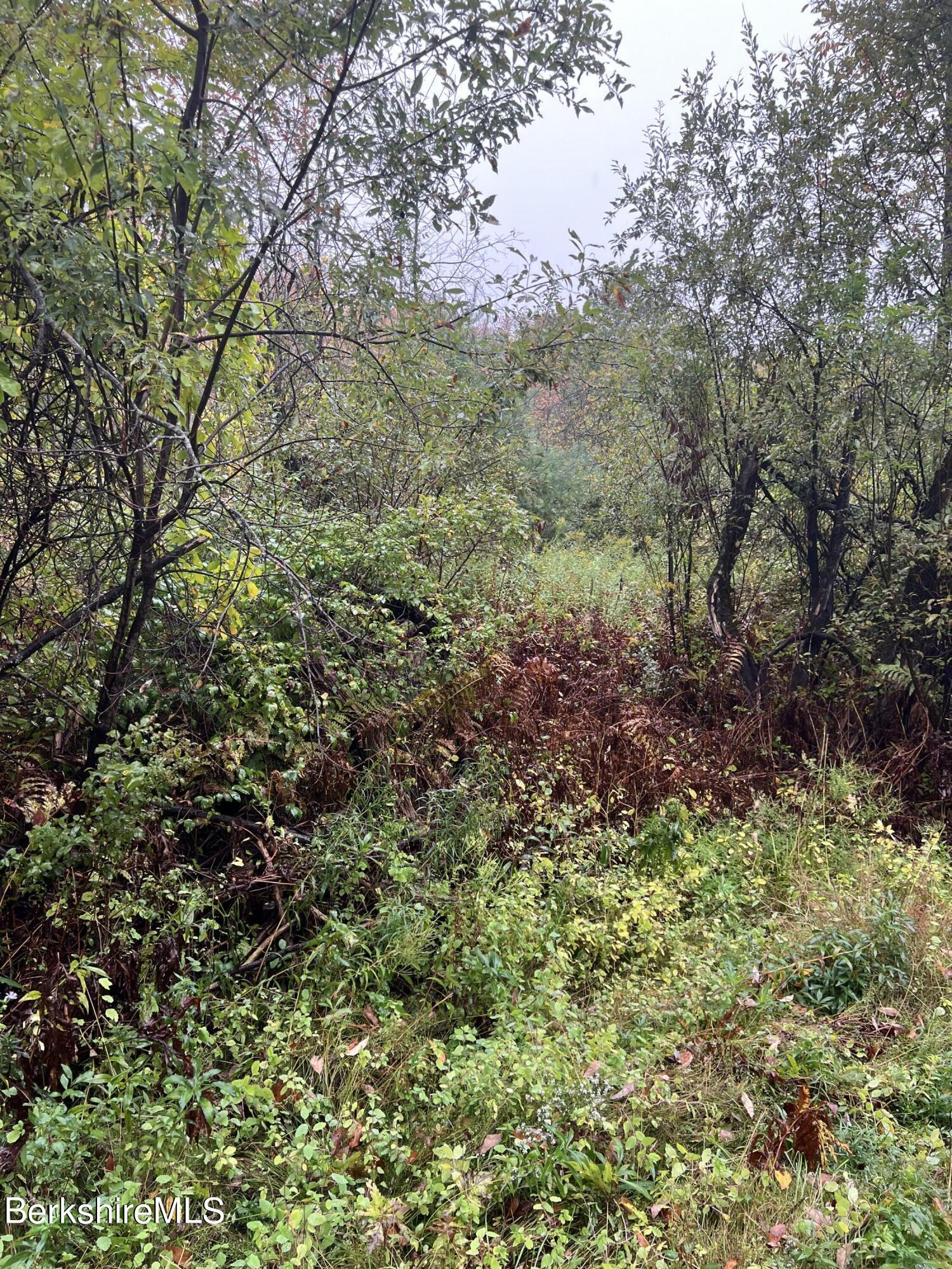 a view of a large yard with lots of green space