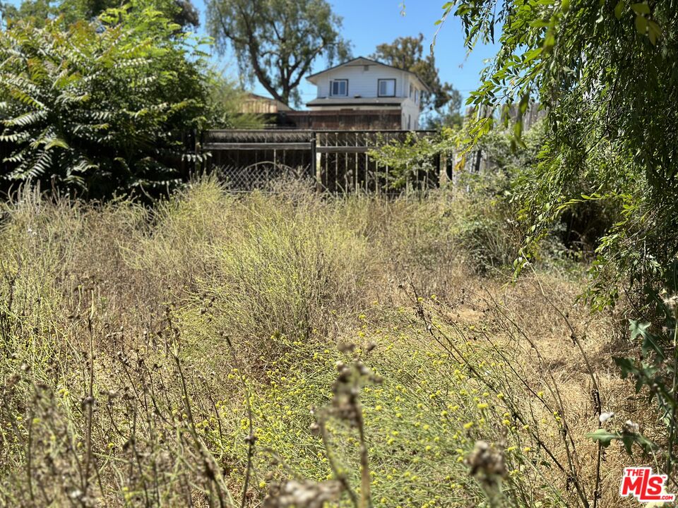 a backyard of a house with plants and large trees