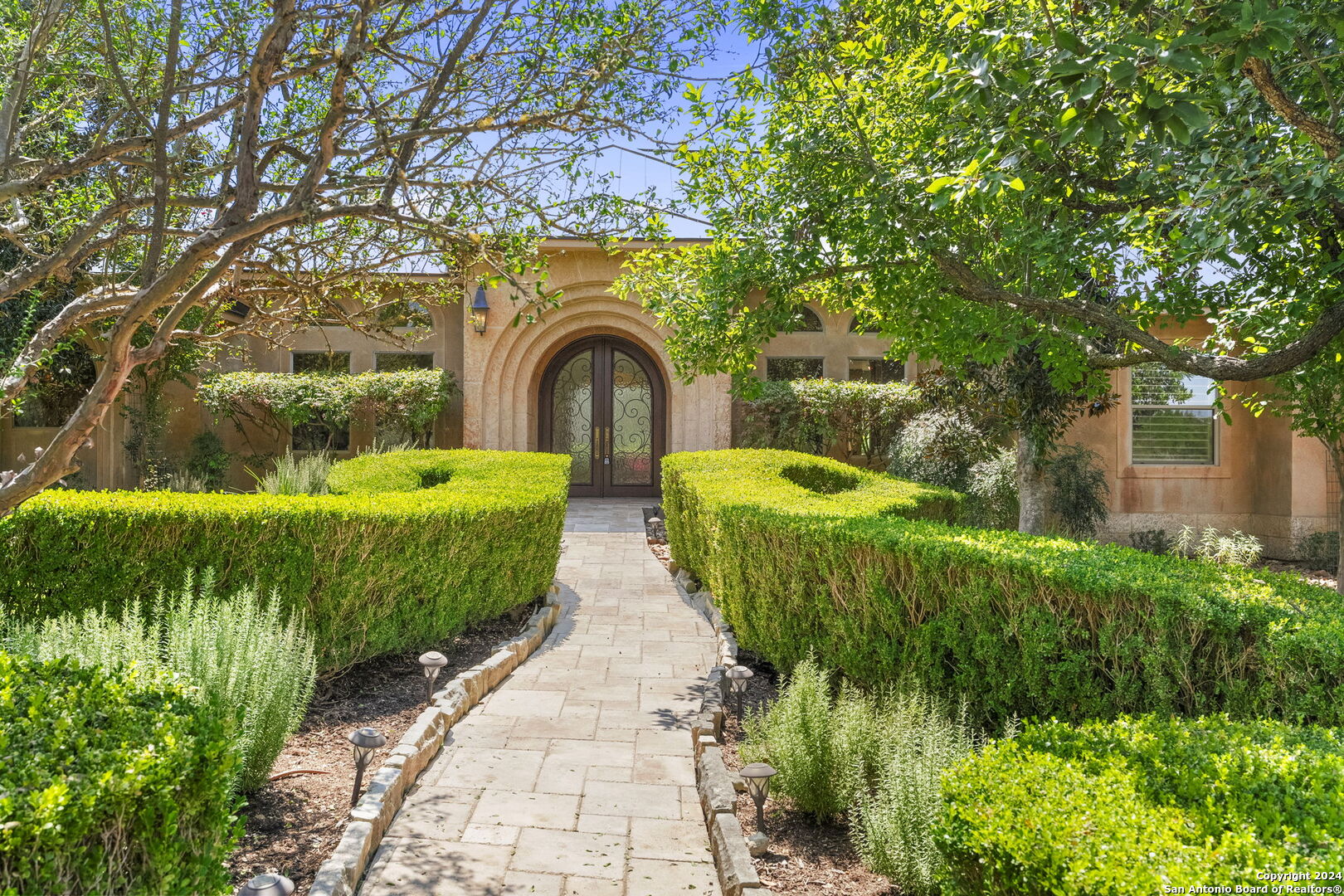 a view of a garden with plants