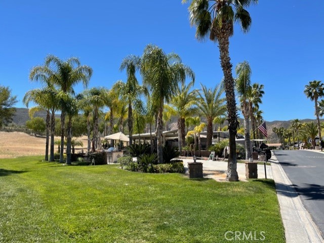 a row of palm trees and a swimming pool in the garden