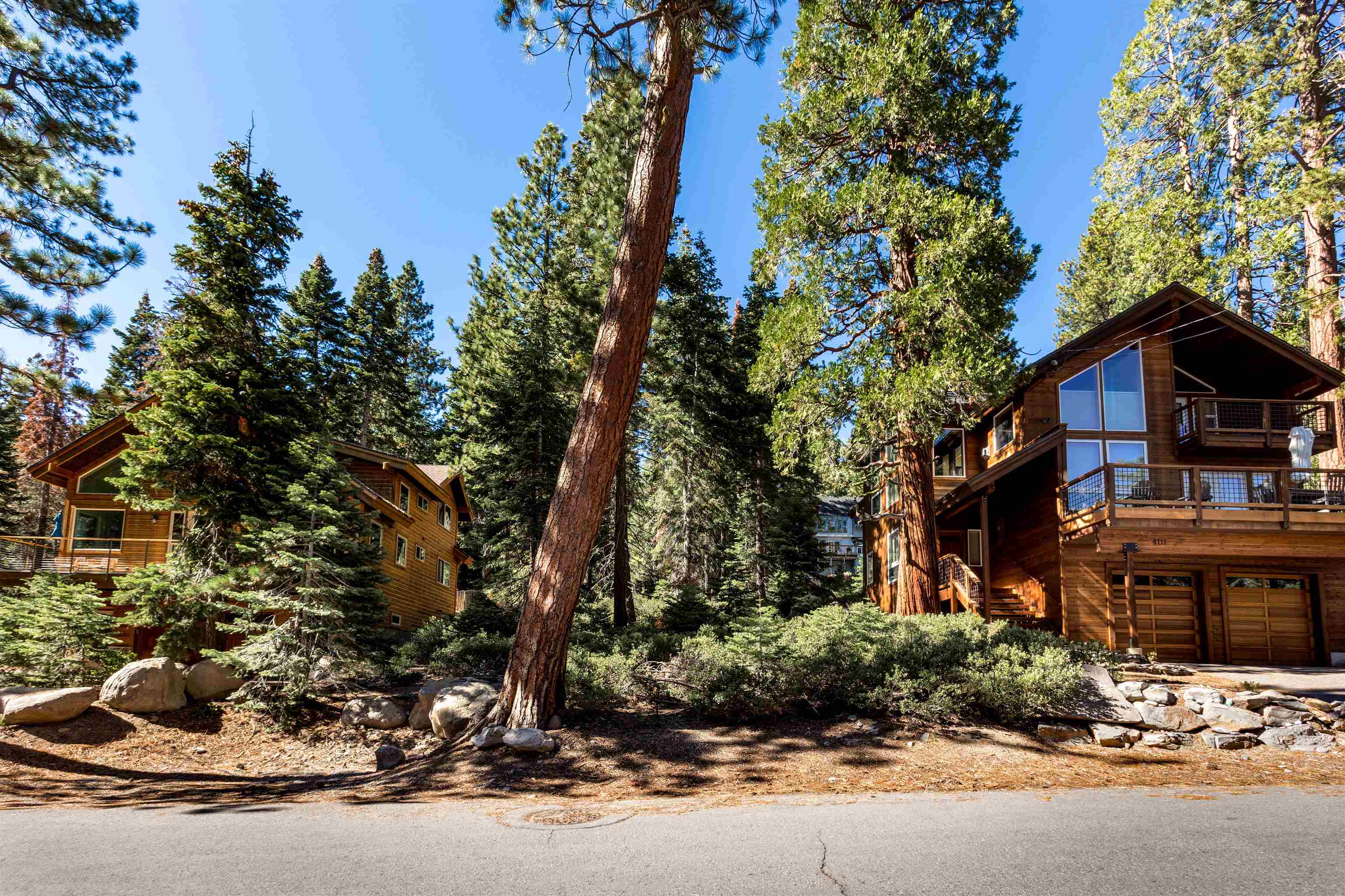 a front view of a house with a yard and tree s