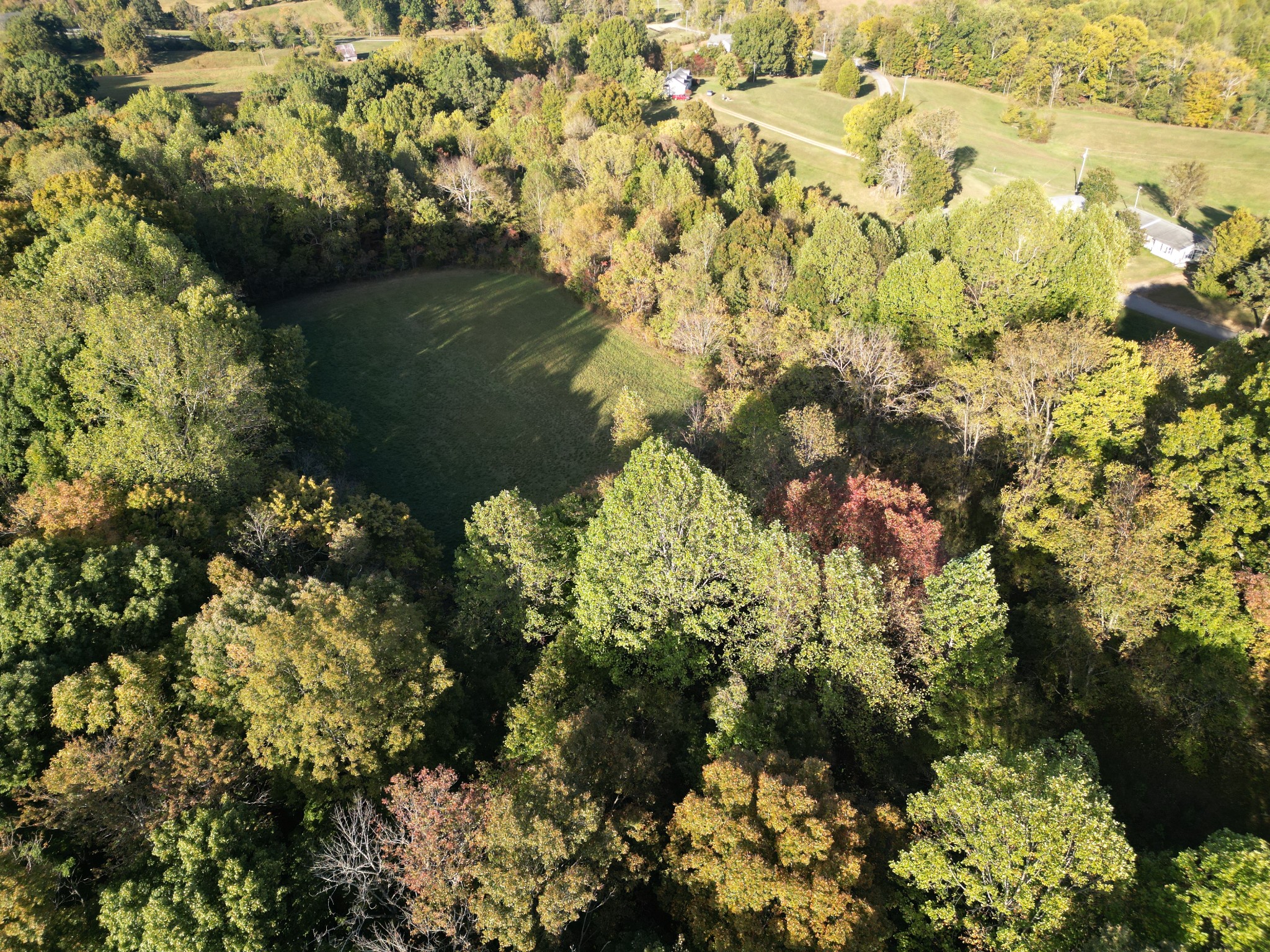 a view of a garden