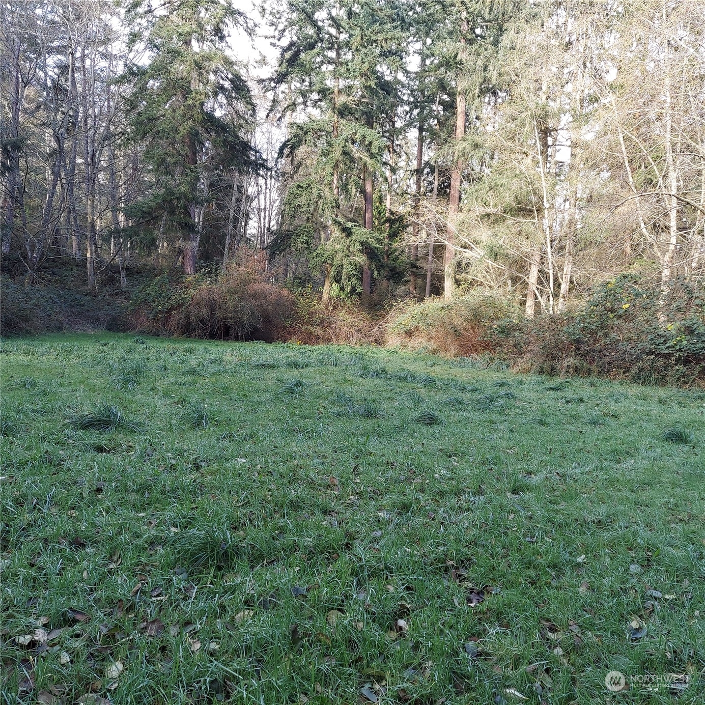 a view of a field of grass and trees