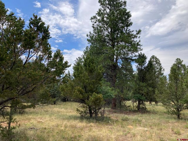 $87,900 | Lot 422-tbd) South Lot 422-tbd) S Badger Trail | Loghill Village