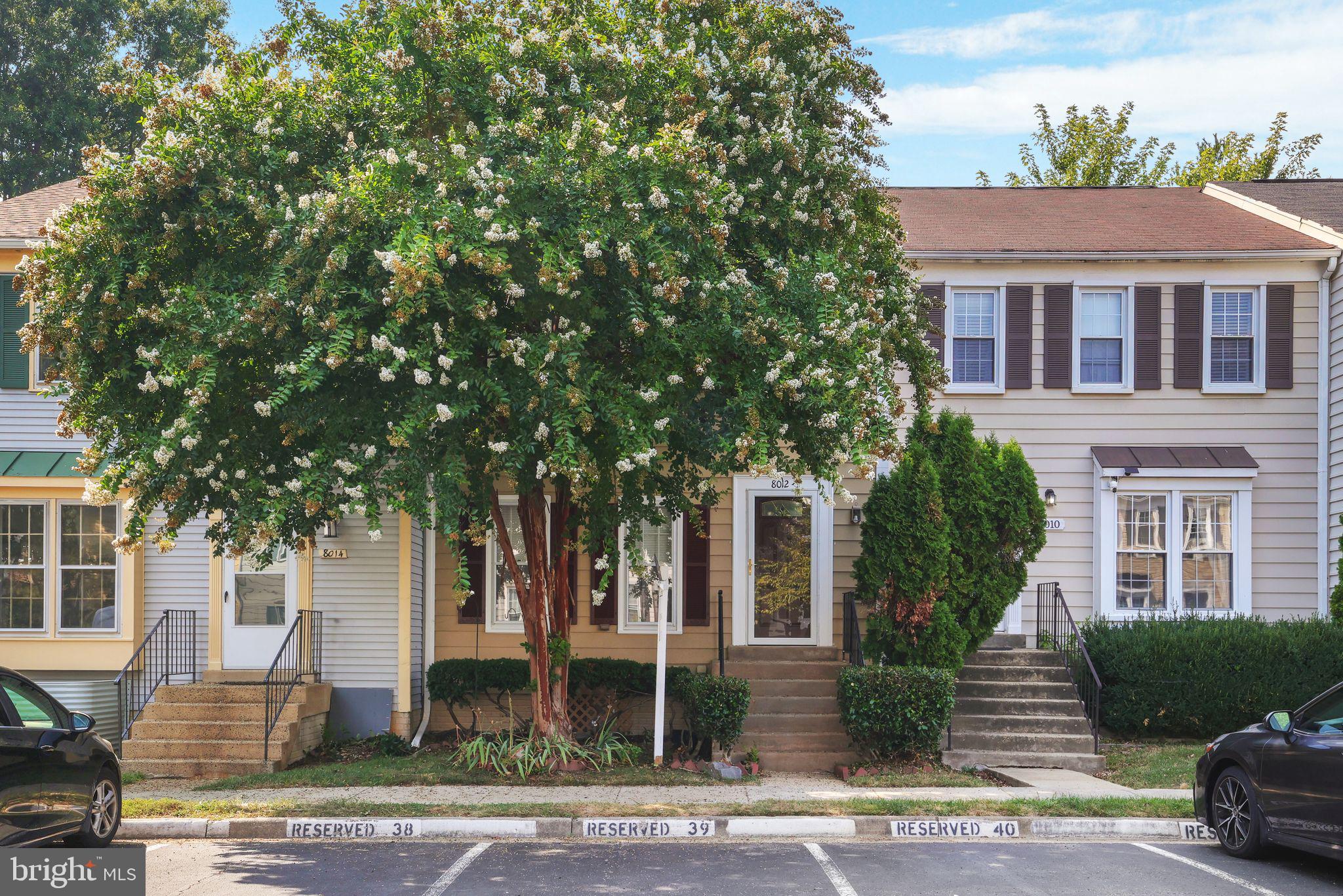 front view of a house with a tree