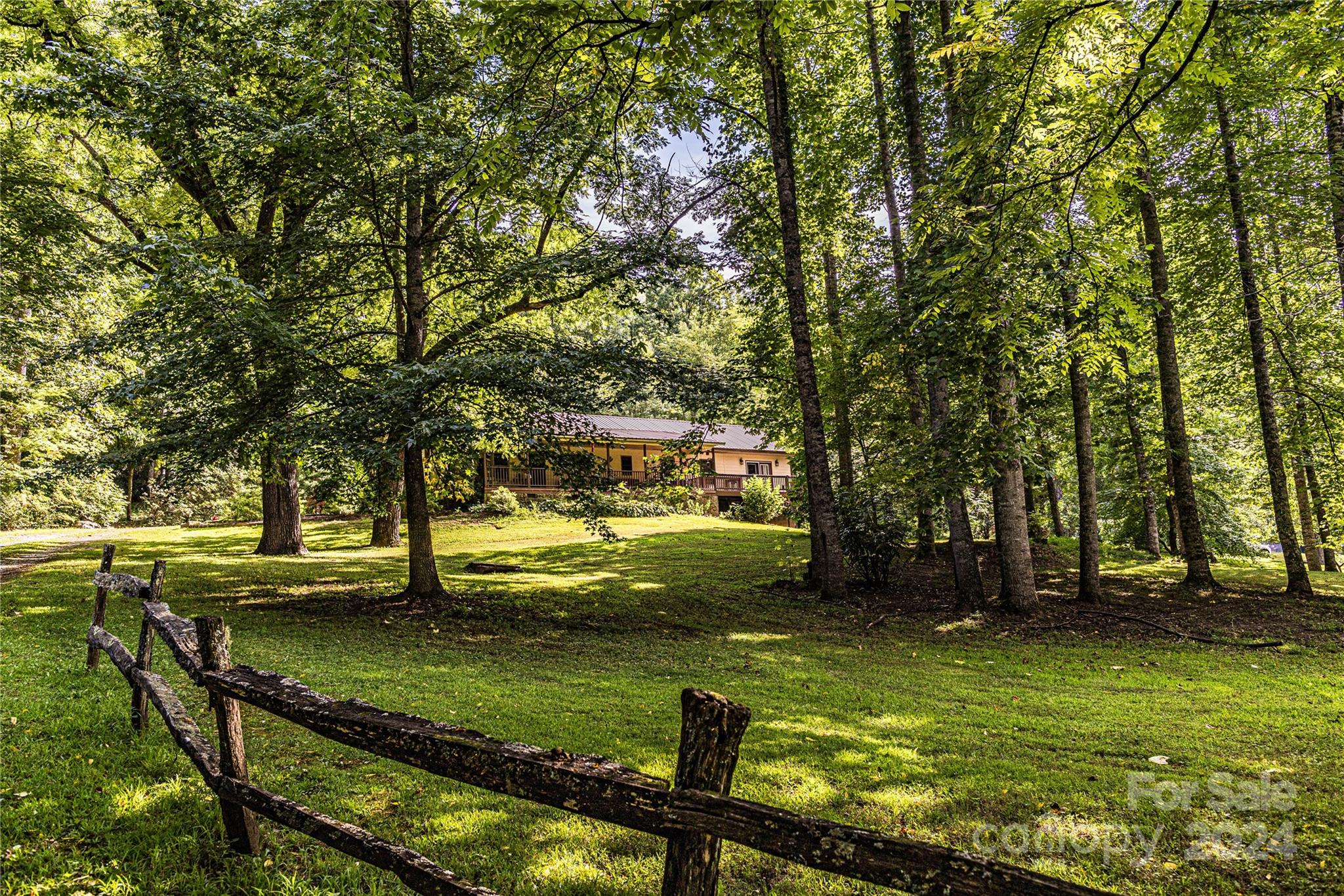 a view of a yard with large trees