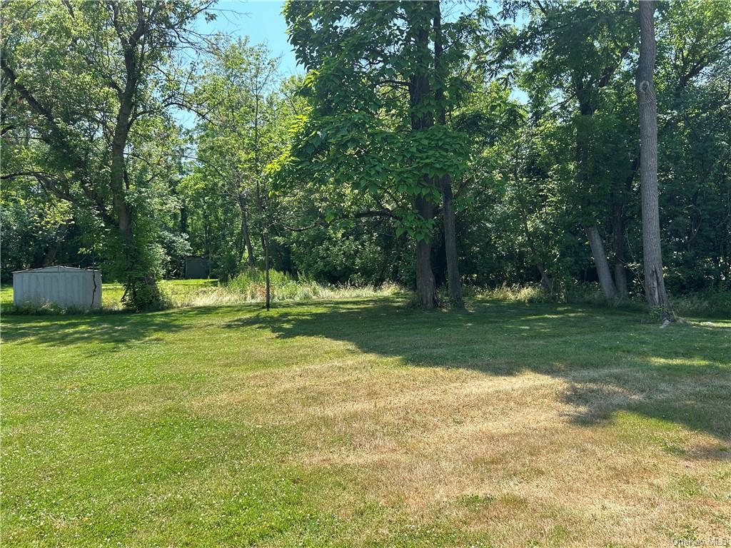 a view of a park with large trees