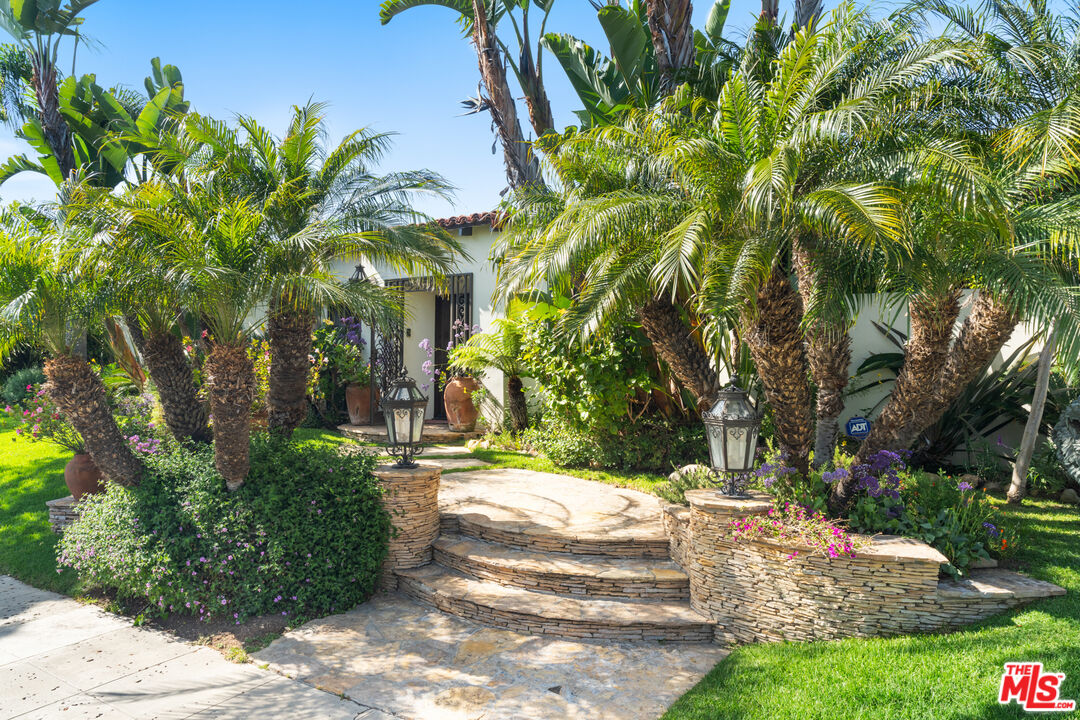 a view of a yard with plants and trees