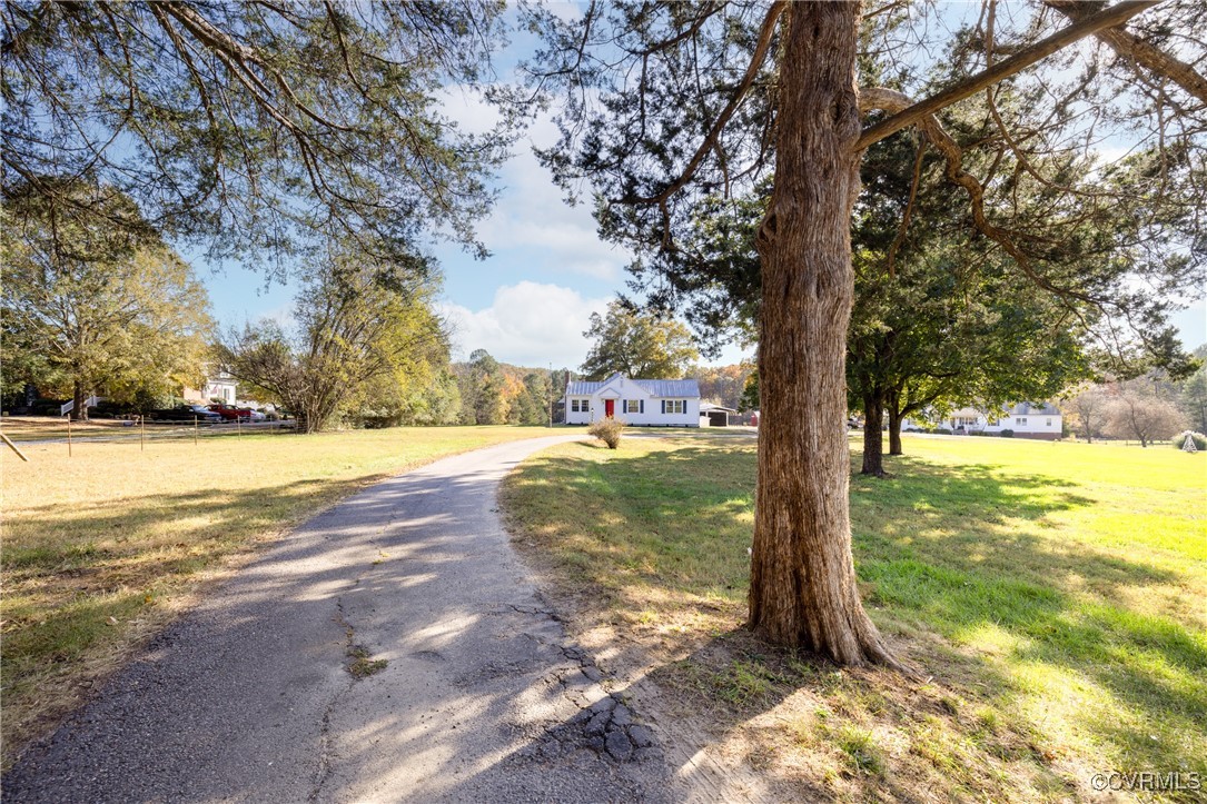 a view of yard with tree