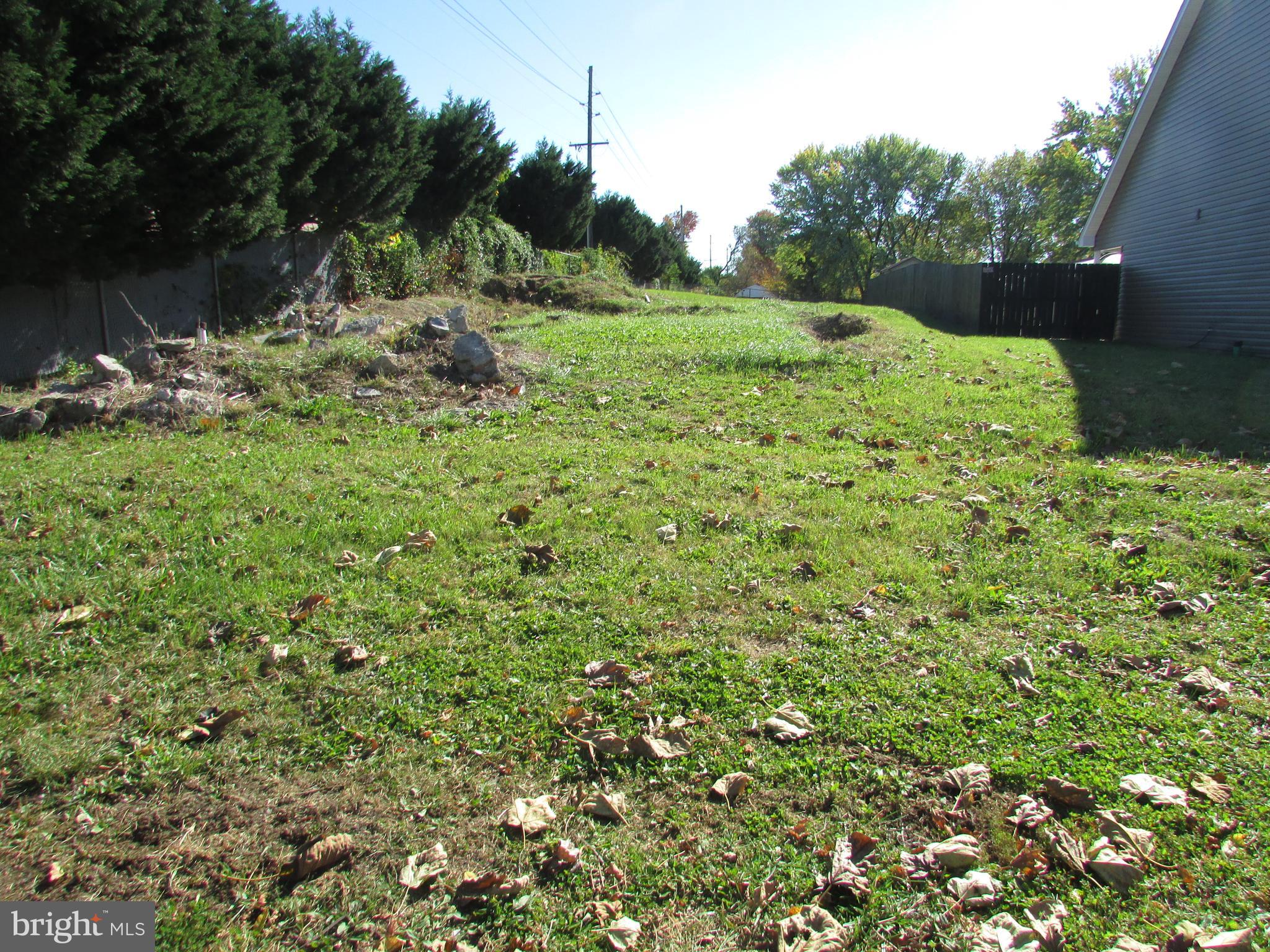 a view of a lush green field