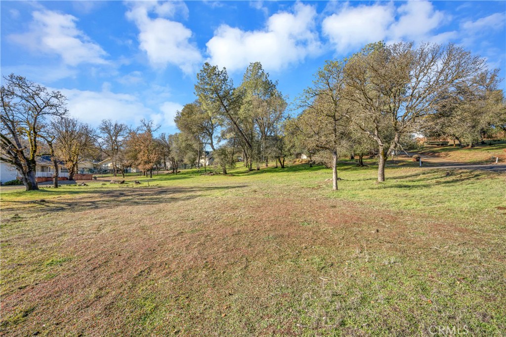 a view of a ground with trees all around