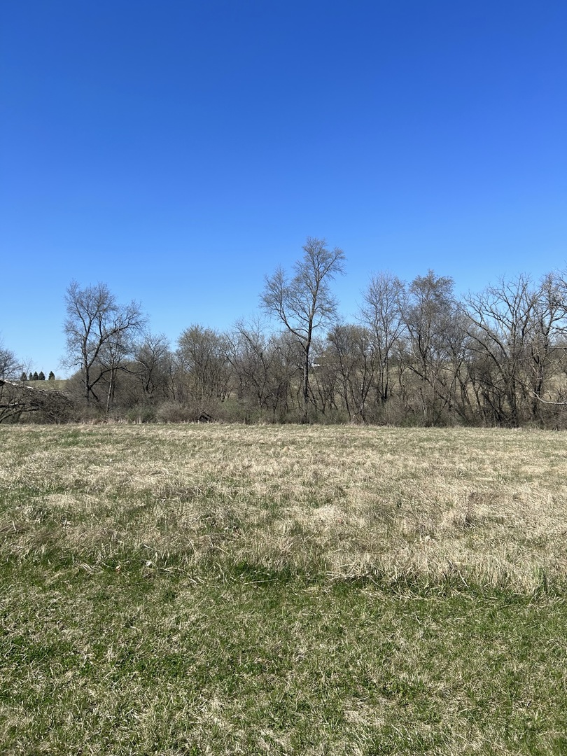 a view of a field with trees in background