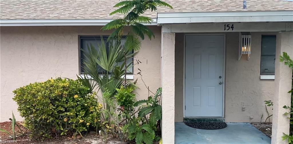 a plant is in front of a door