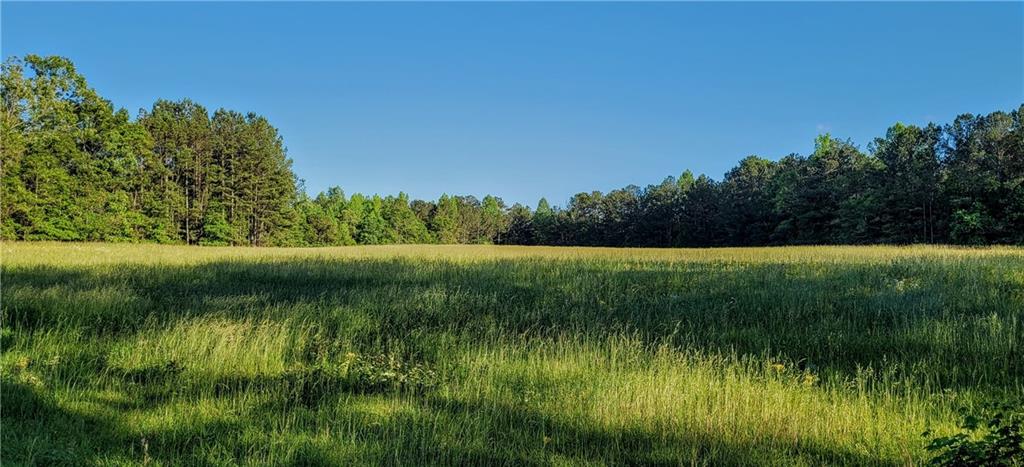 a view of a lake with a yard