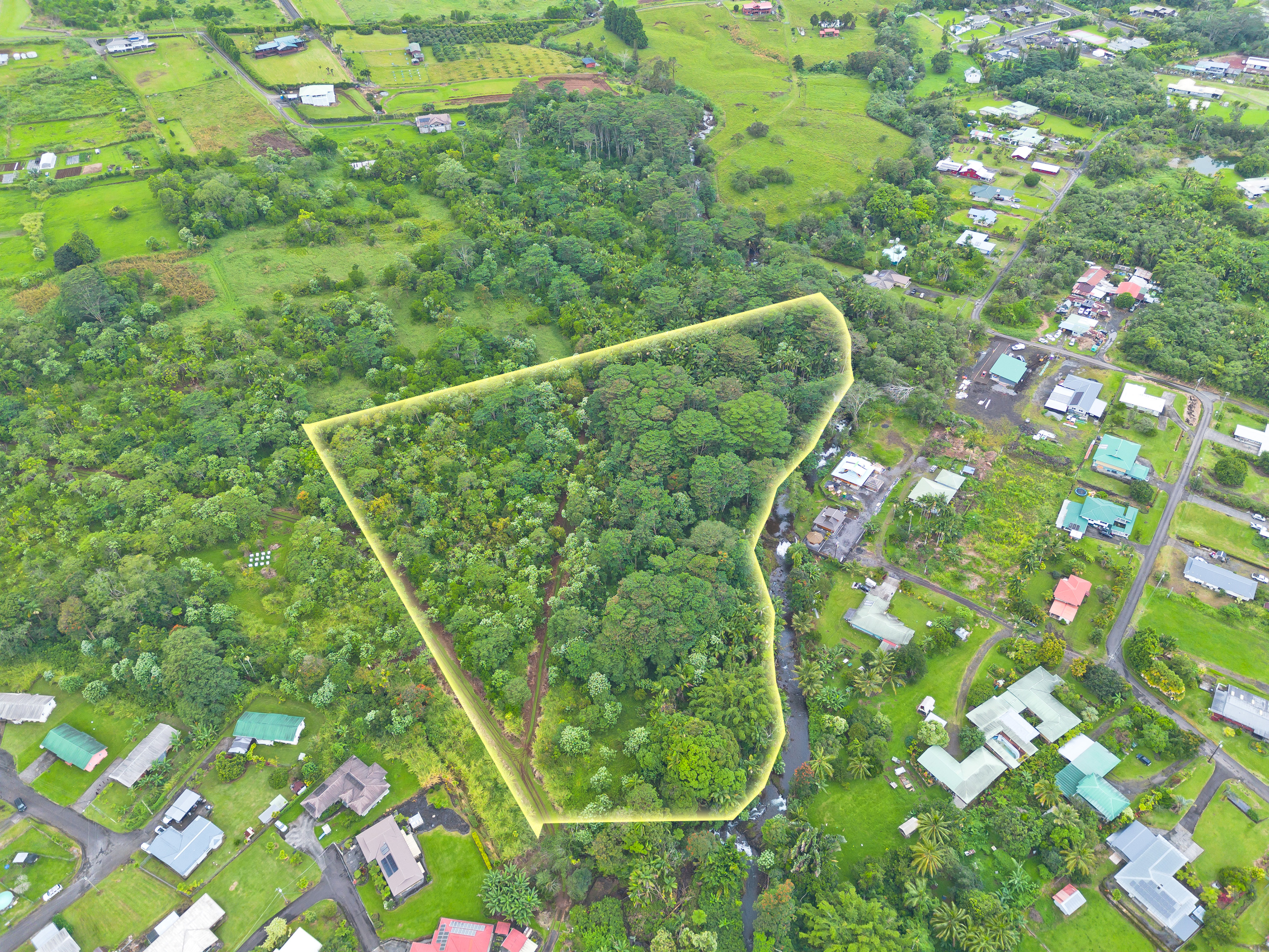 a view of a yard with a tree