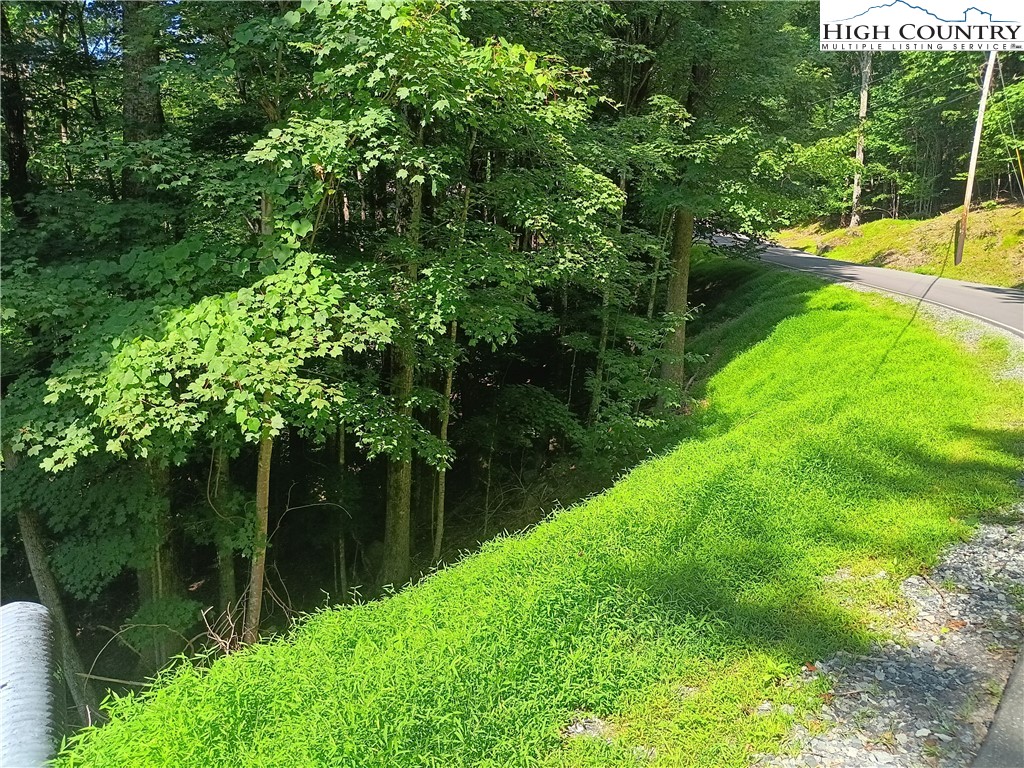 a view of yard with green space