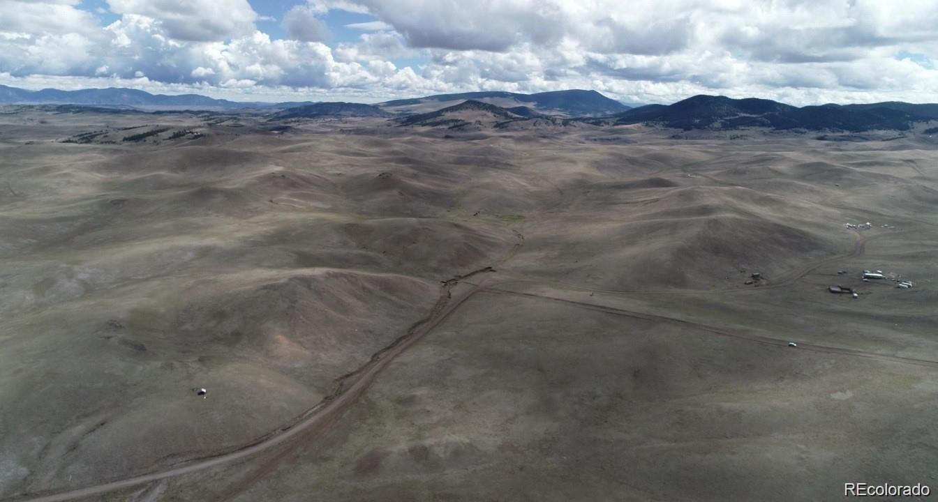 a view of a dry yard