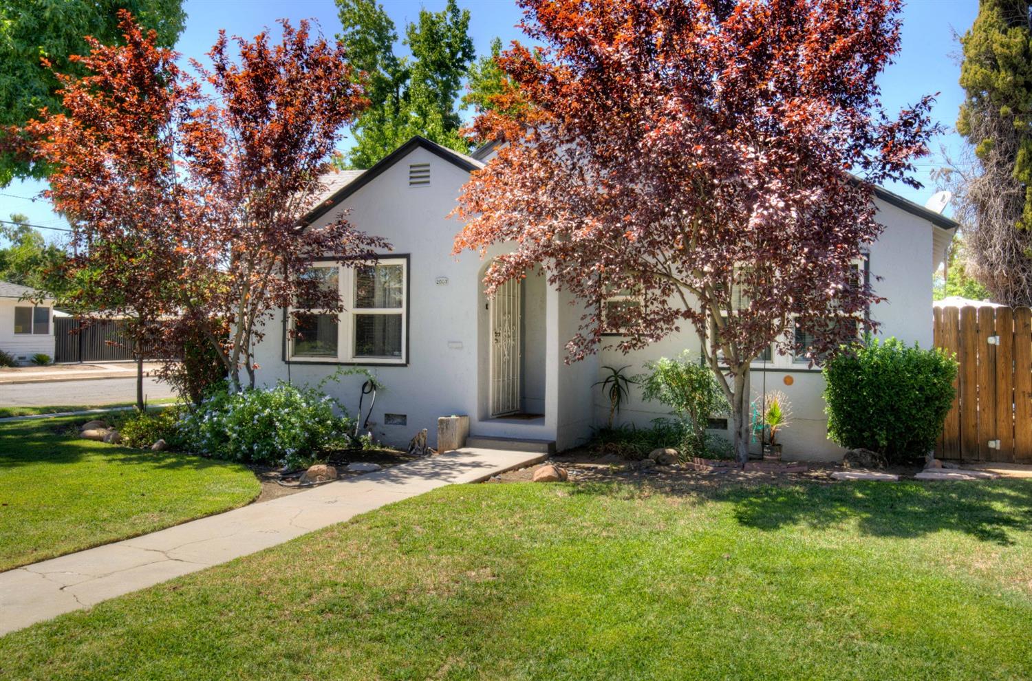 a backyard of a house with plants and large tree