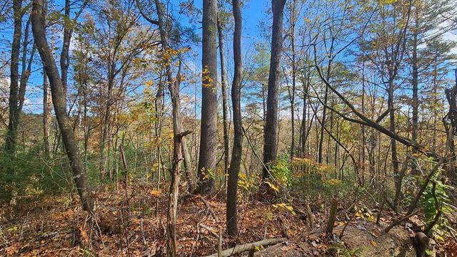 $19,900 | Lot 158 Roaring Forks Lane