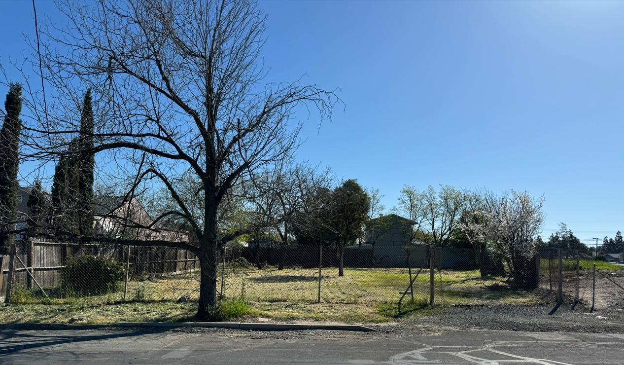 a view of a yard in front of house