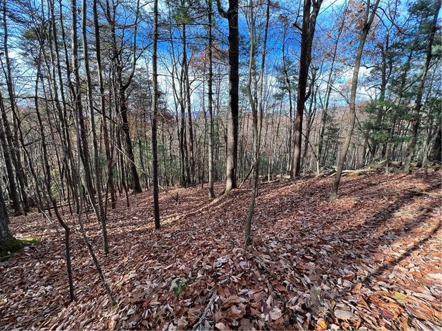 $25,000 | J214 Walnut Mountain Road