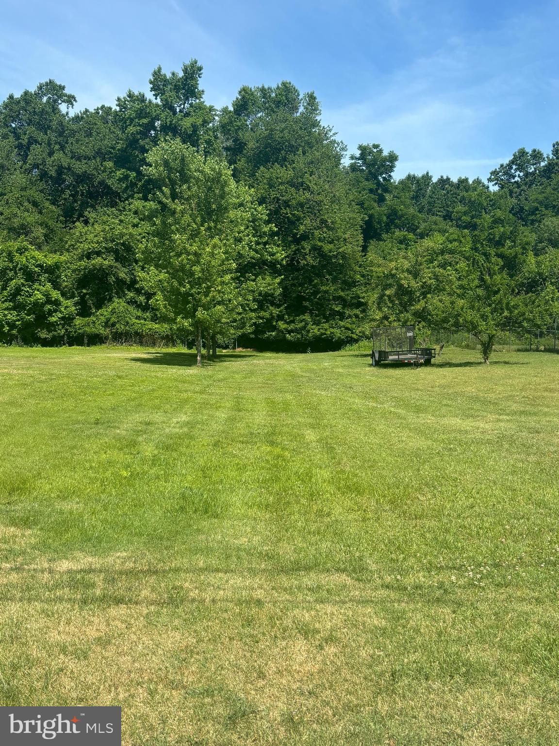 a view of yard with green space