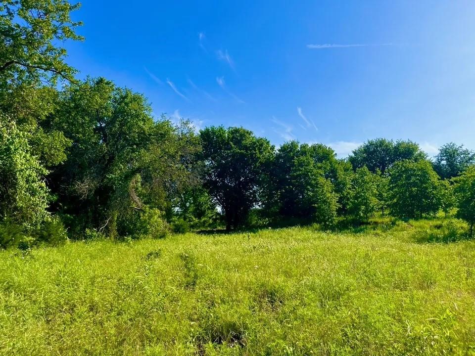 a view of backyard with green space