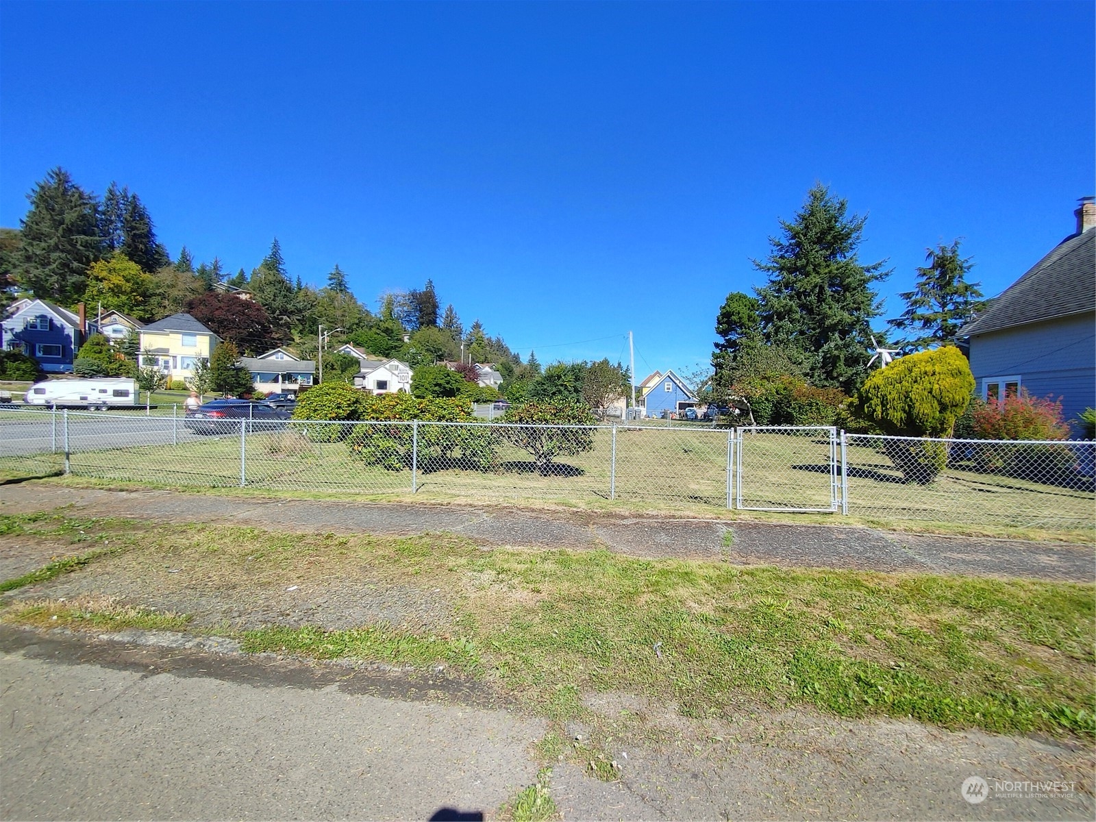 a view of a yard with an tree