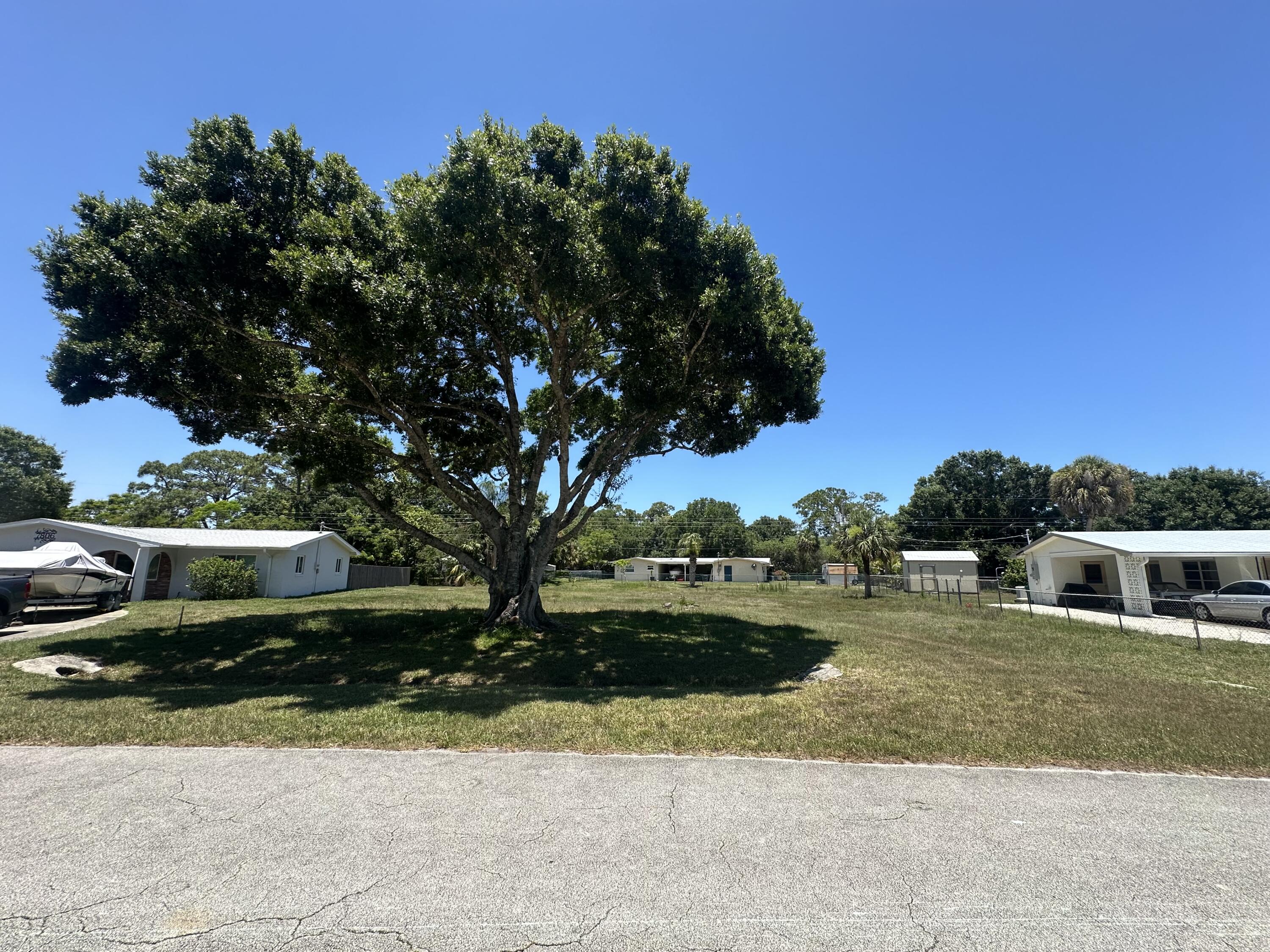 a view of a yard with palm trees