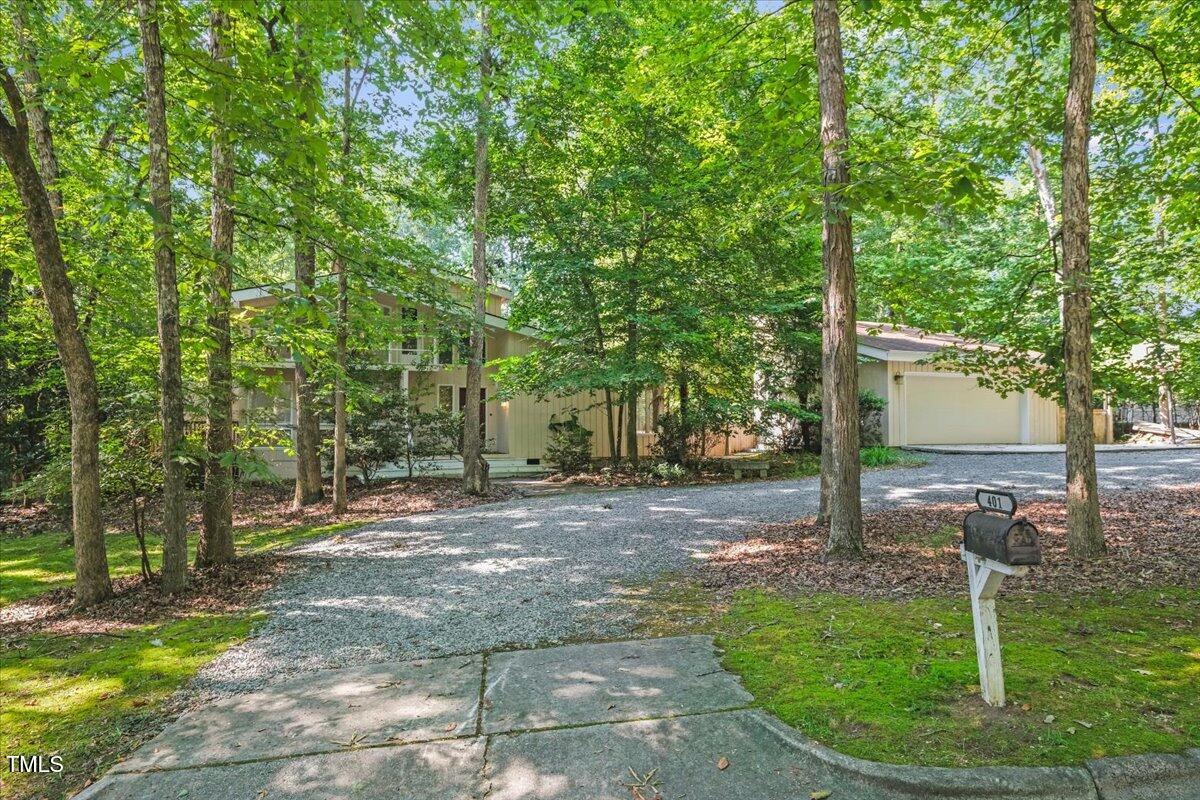 a view of a tree in the middle of a yard