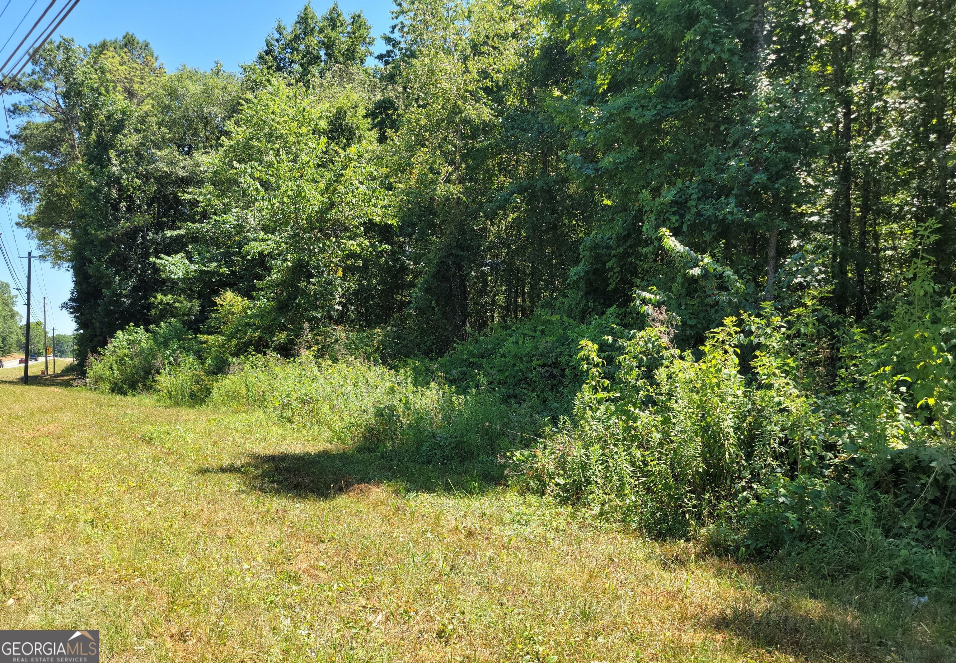 a view of outdoor space and yard