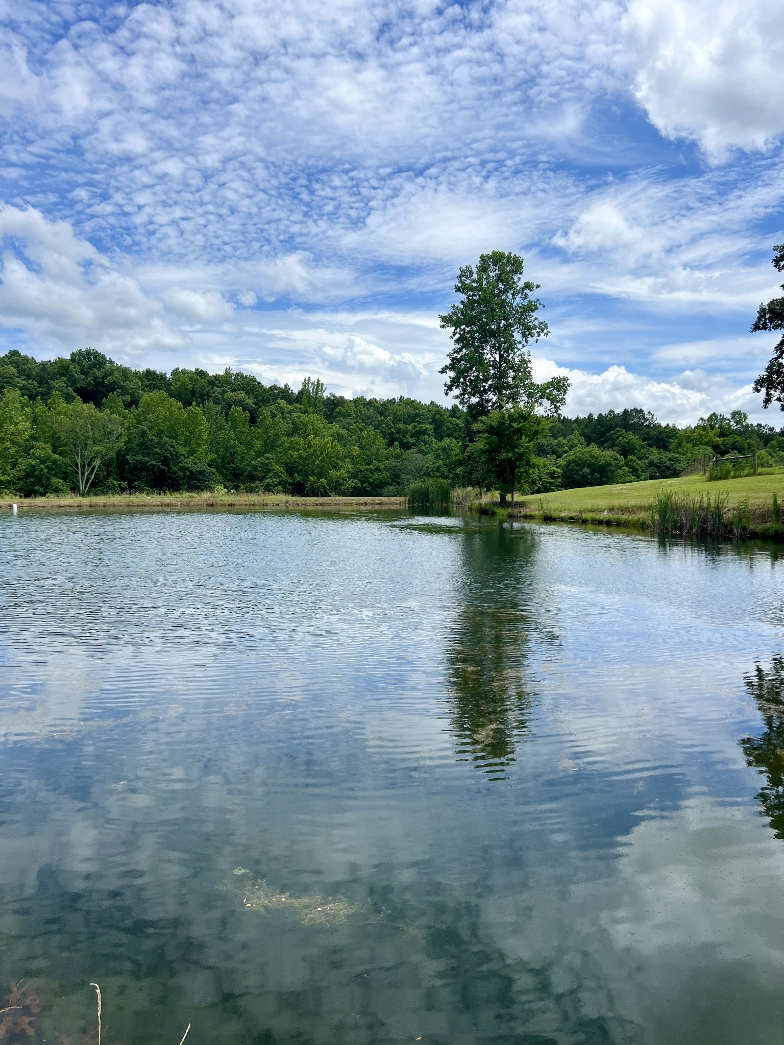 a view of a lake