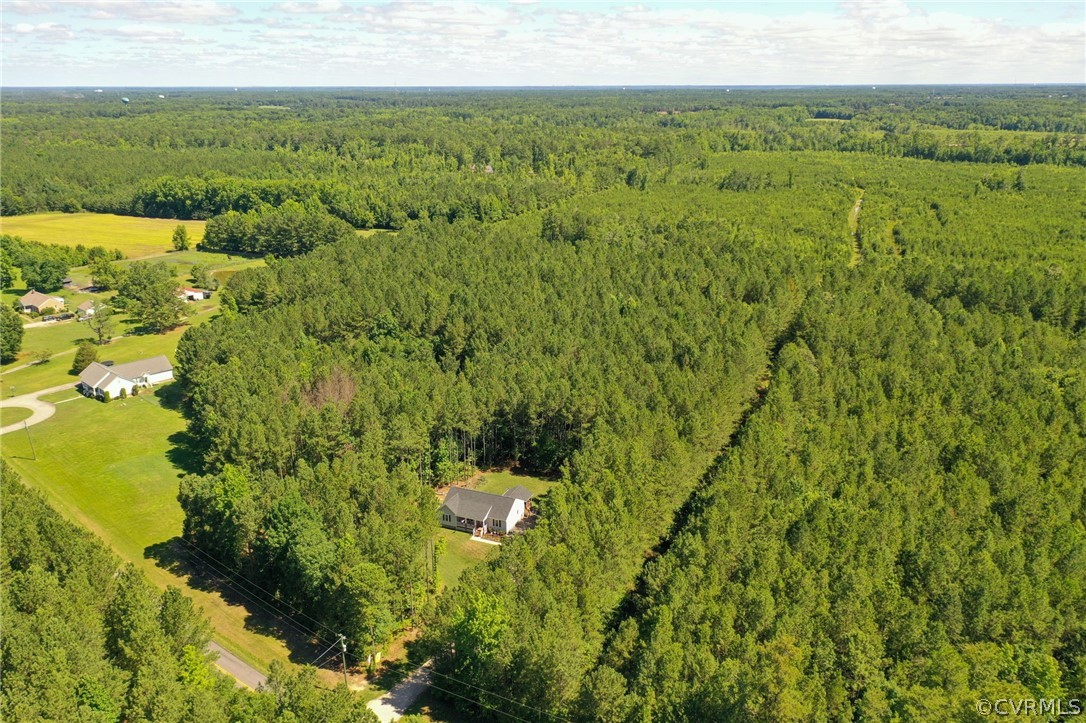 a view of a lush green forest with lots of trees