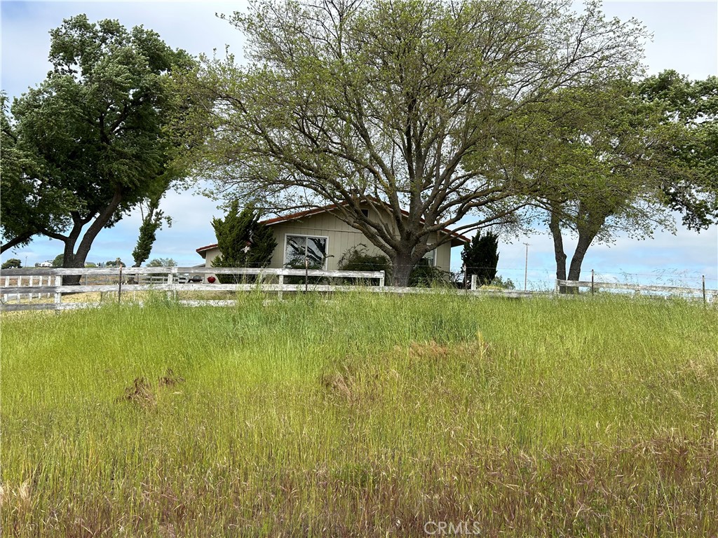 a view of swimming pool with trees in the background