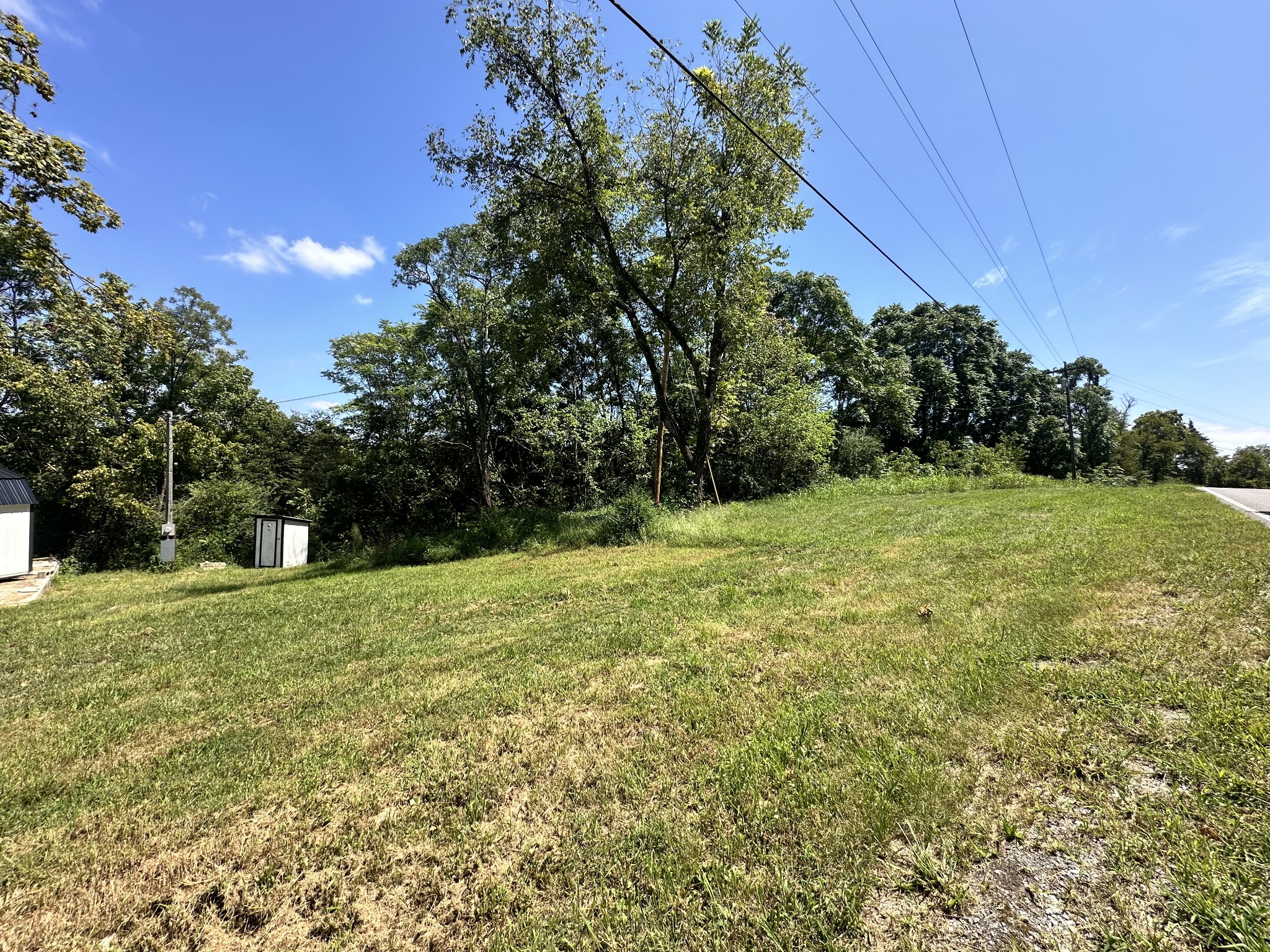 a view of a grassy field with trees