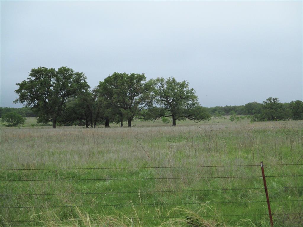 a view of a field with trees in background