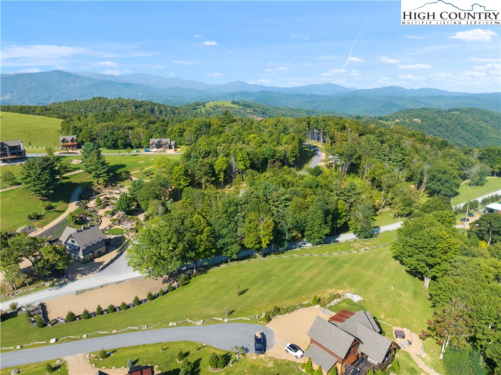 an aerial view of residential houses with outdoor space and trees