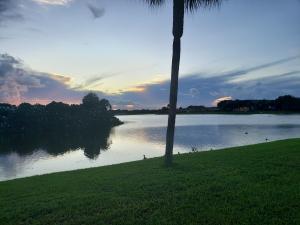 a view of a back yard