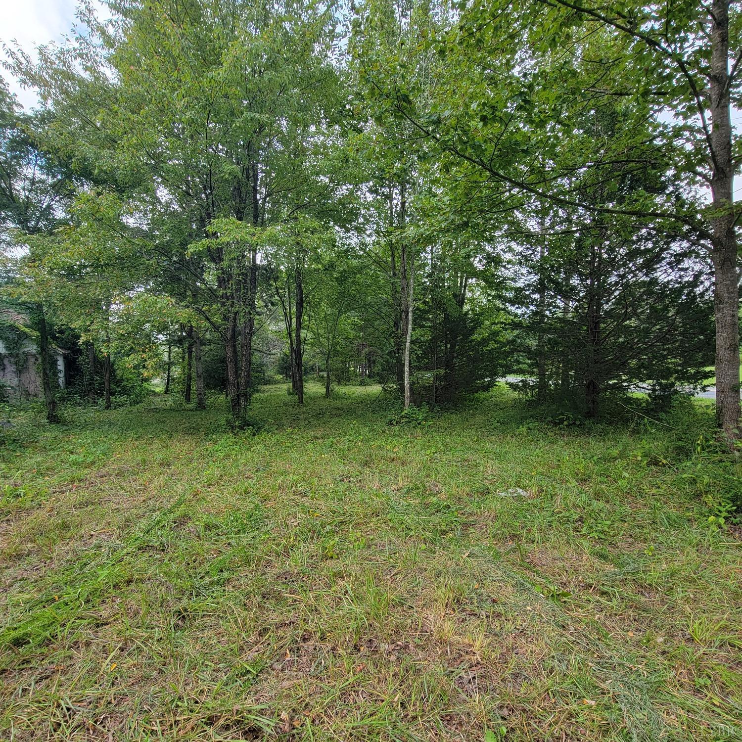 a view of outdoor space and yard