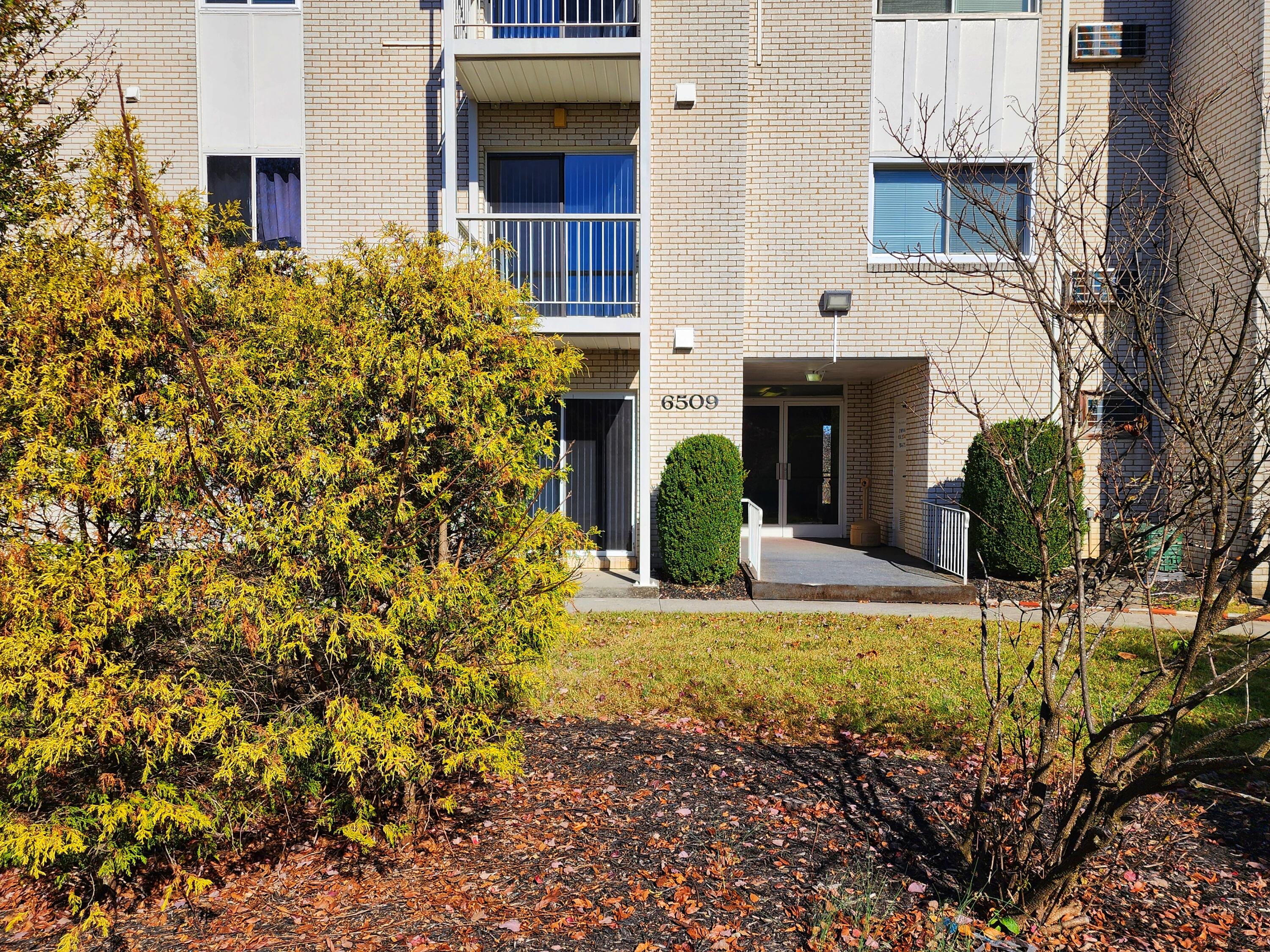 a view of a house with potted plants and a tree