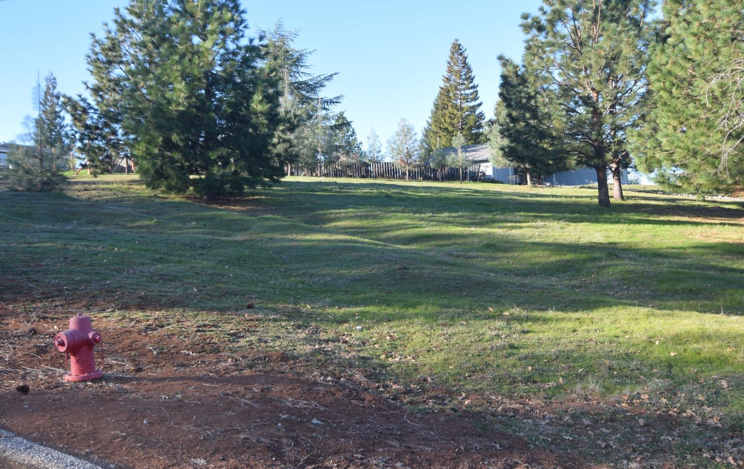 a view of a golf course