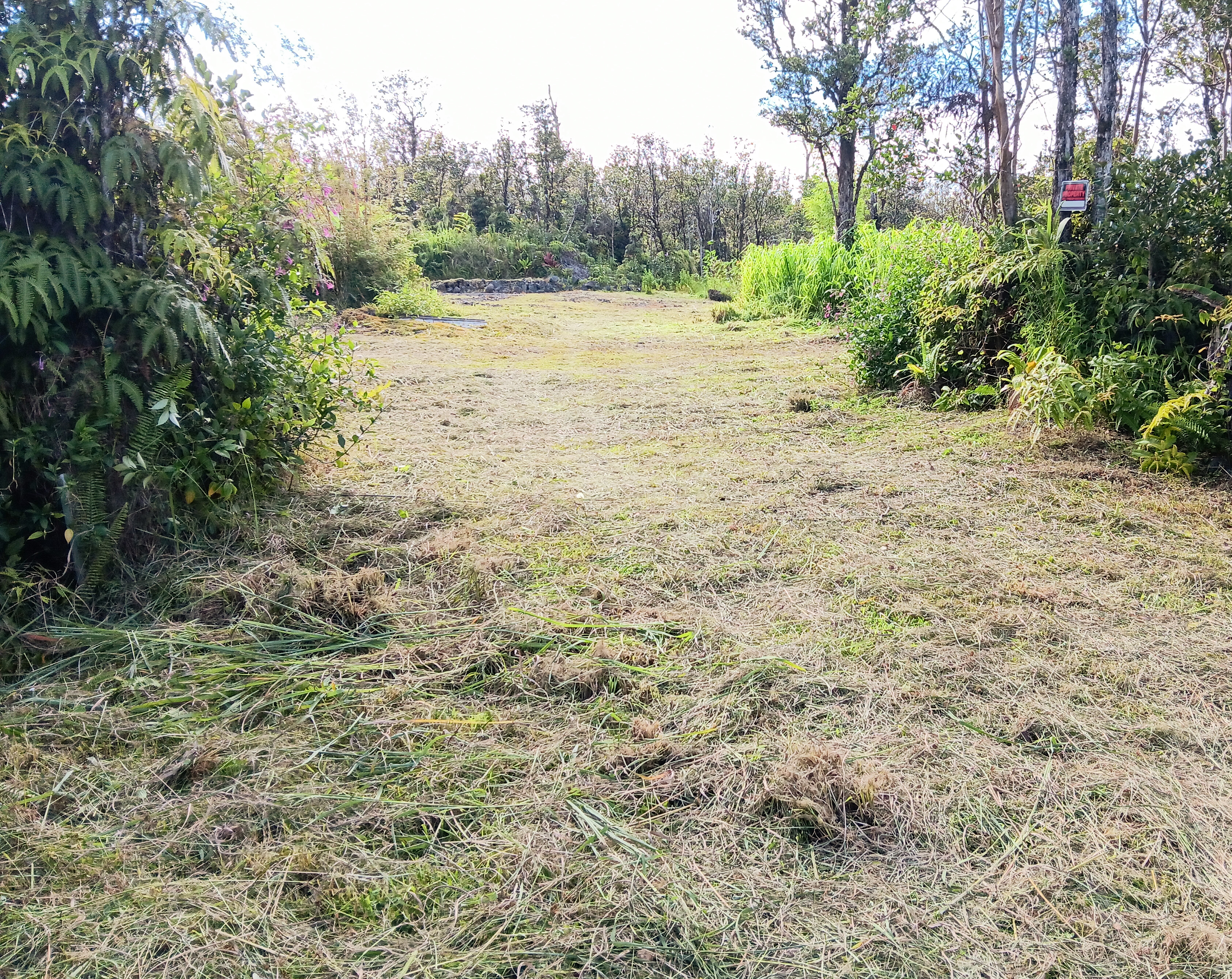 a view of an outdoor space and a yard