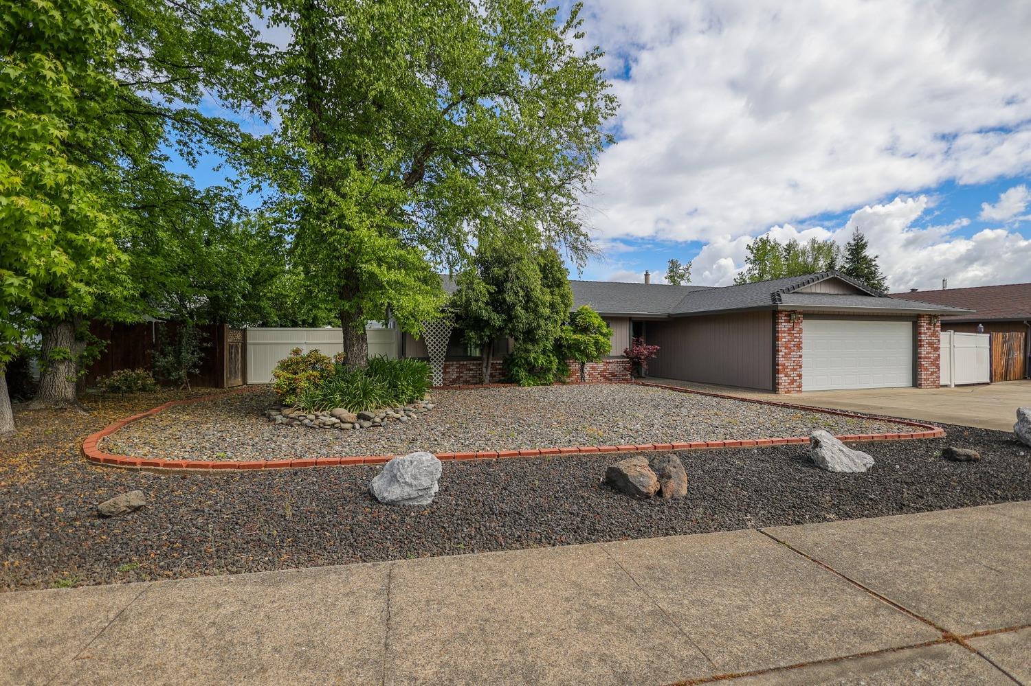 a view of a yard with plants and a tree