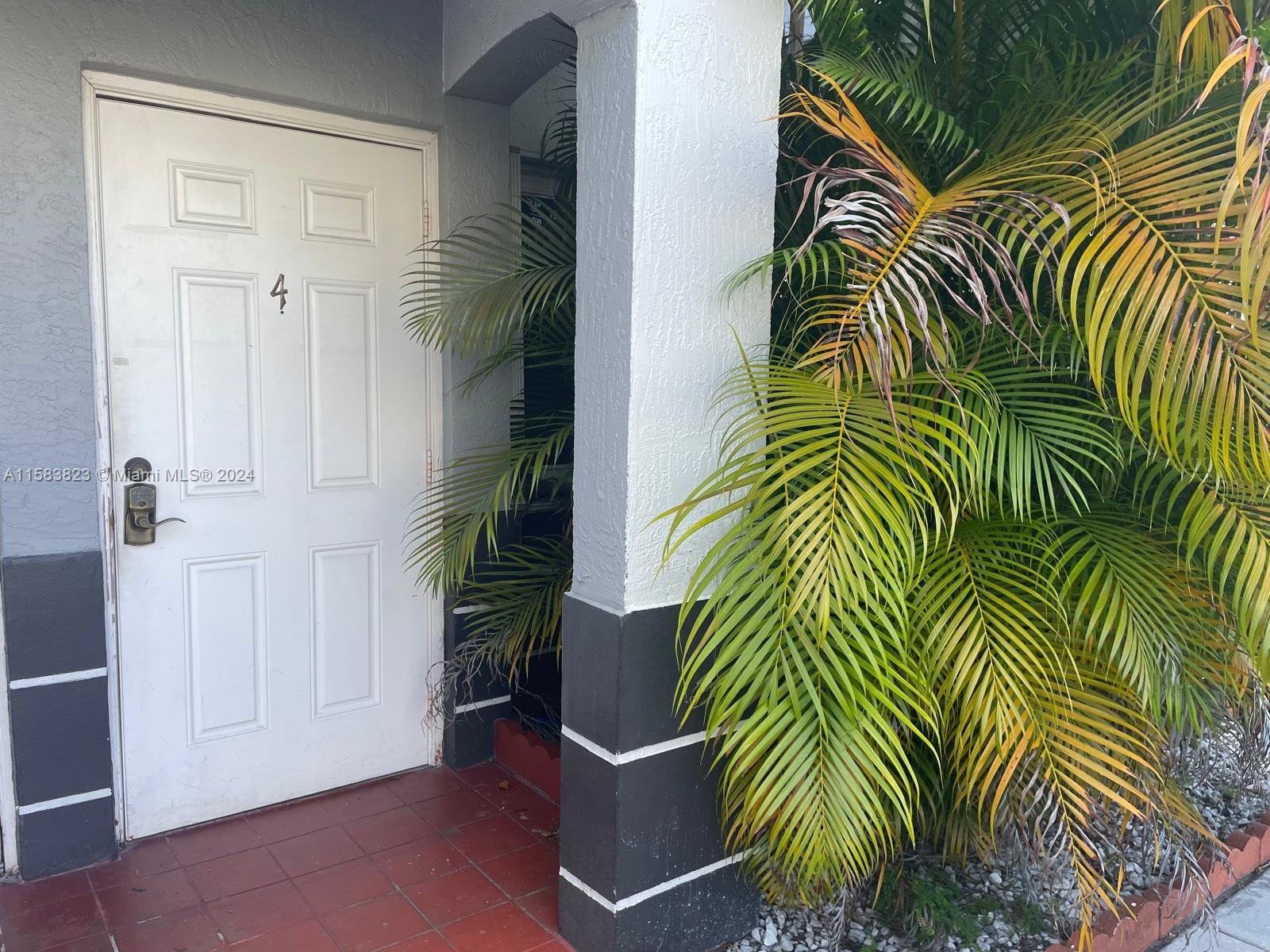 a view of a palm plant that is in front of a house