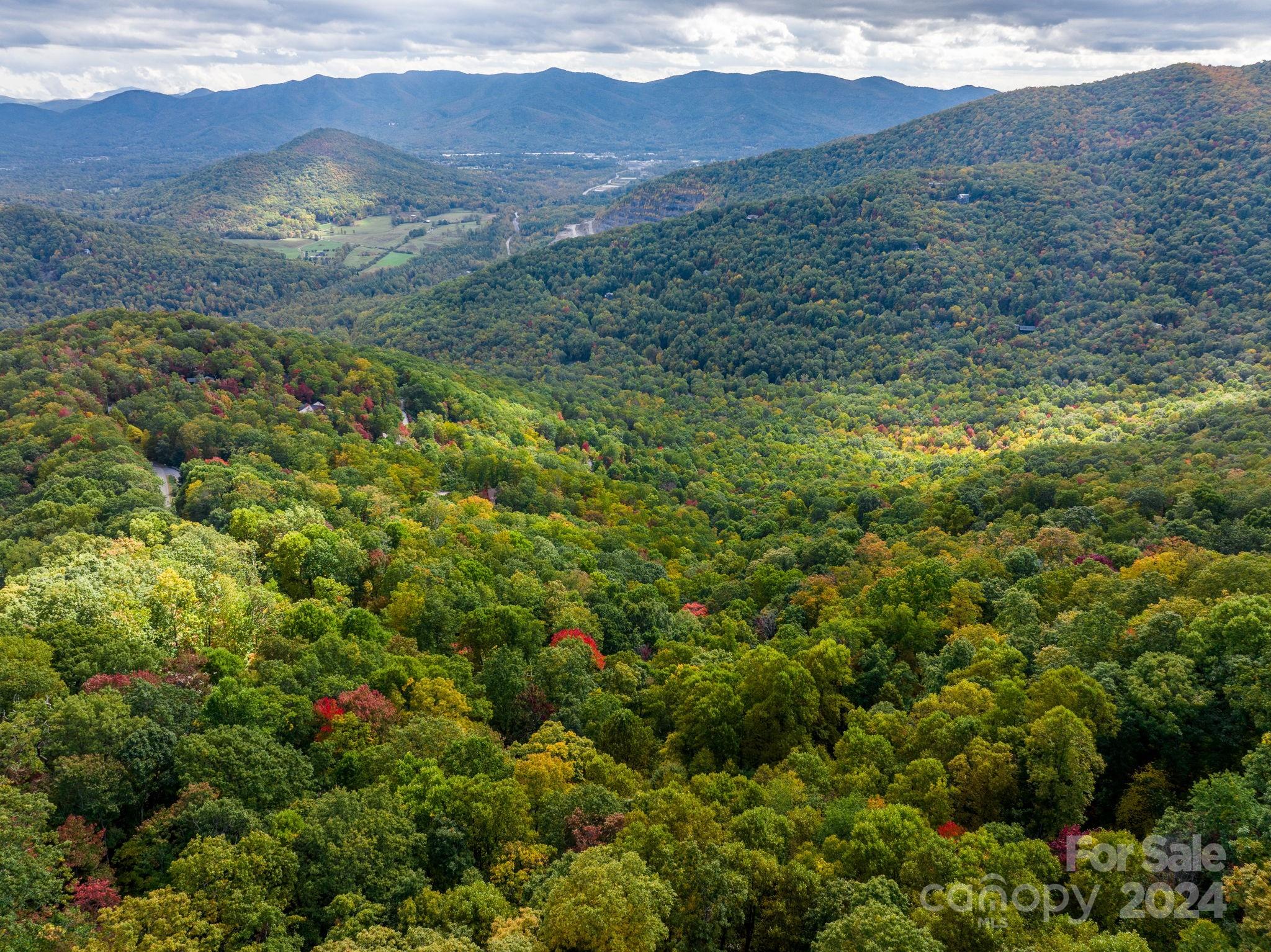 a view of a lush green hillside and a mountain