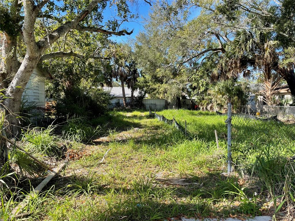 a view of a garden with a tree